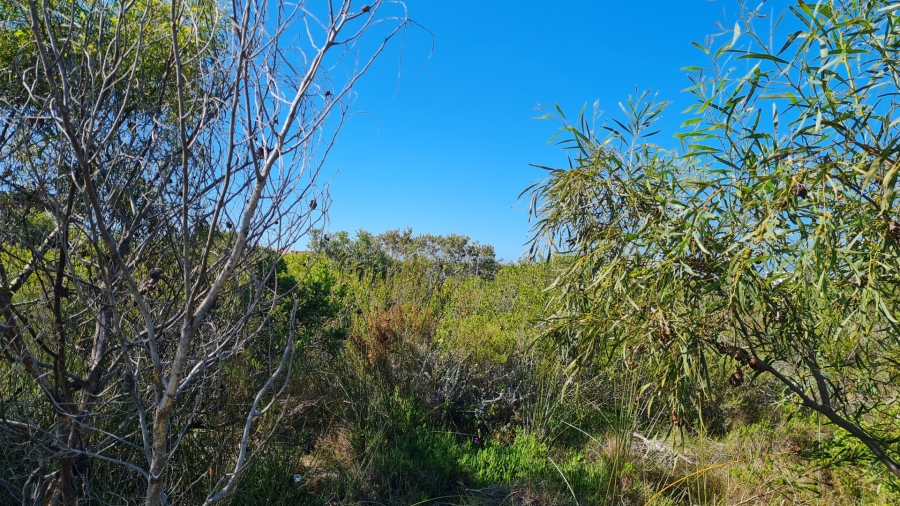  Bedroom Property for Sale in Dana Bay Western Cape